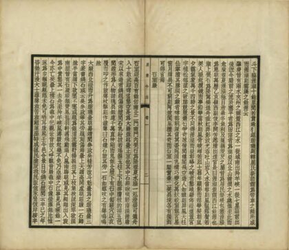 07338 星岩今志 0.jpg