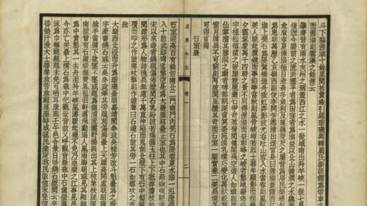 07338 星岩今志 0.jpg