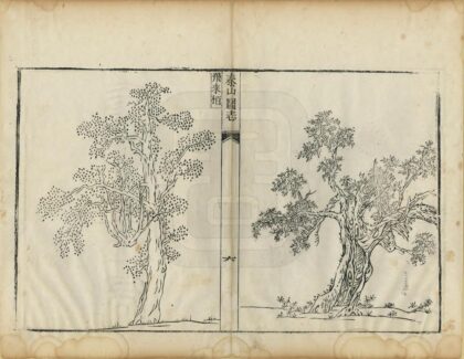 08394 泰山图志 0.jpg