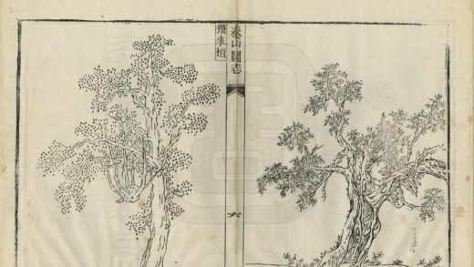 08394 泰山图志 0.jpg