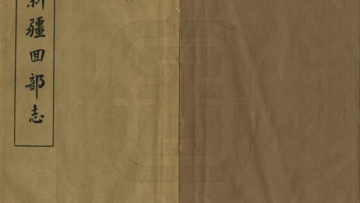 08534 新疆回部志 0.jpg