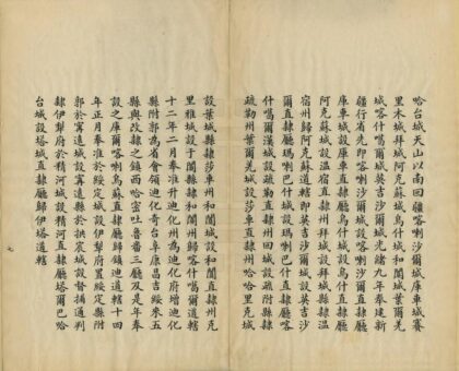 08558 新疆省舆地图说 0.jpg