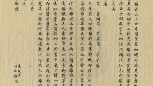 08975 安南县志 0.jpg