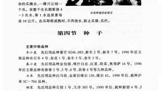 10155 新疆生产建设兵团农六师一〇九团志 0.jpg