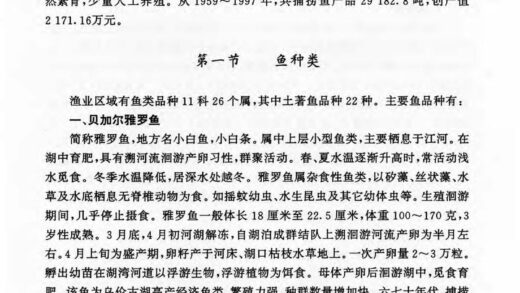 10160 新疆生产建设兵团农十师一九〇团志 0.jpg