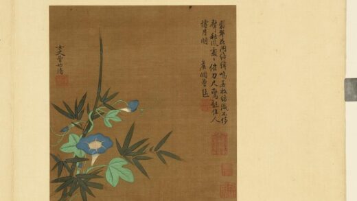 历代集绘册 明曹妙清牵牛花.jpg