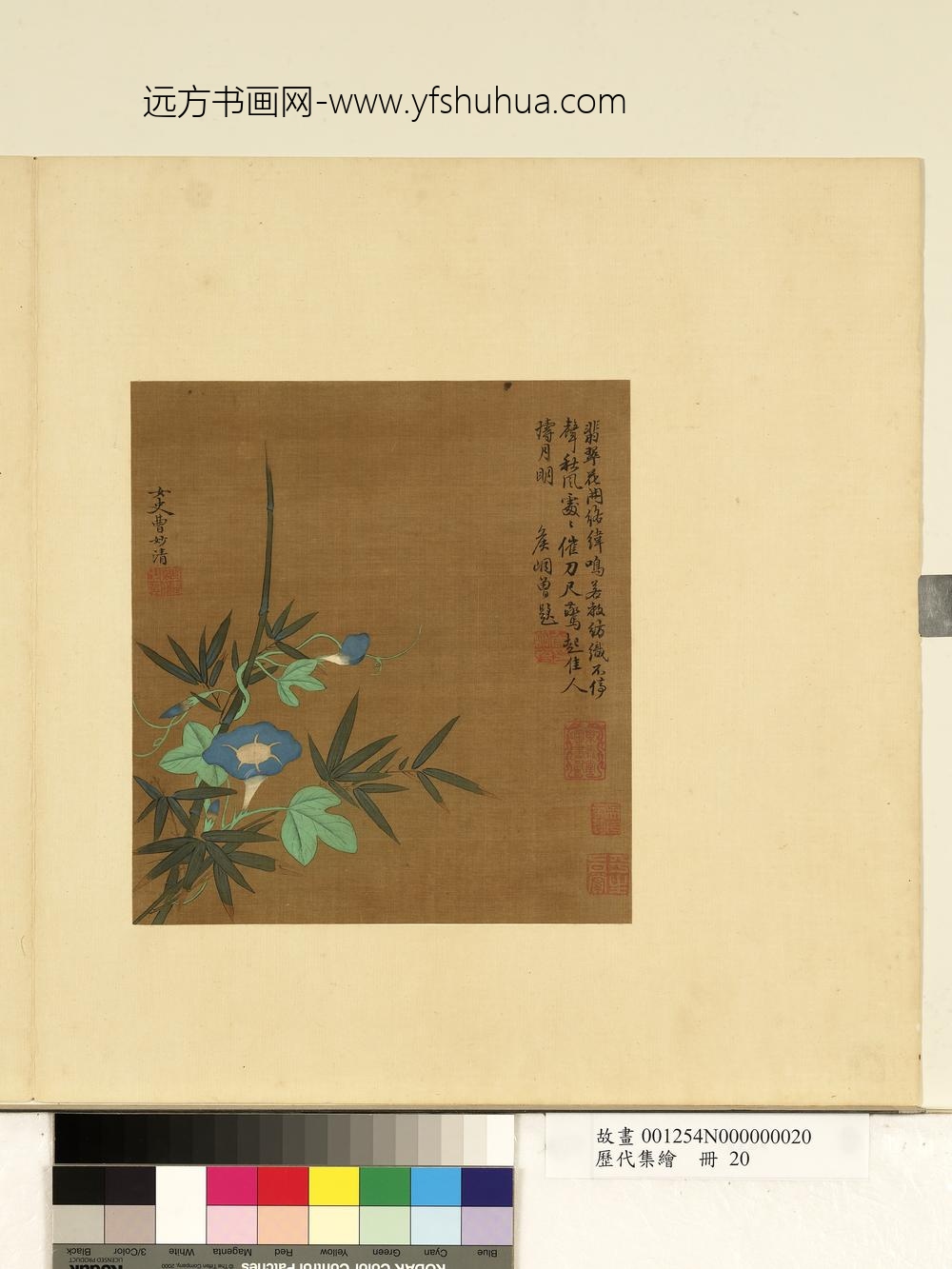 历代集绘册-明曹妙清牵牛花