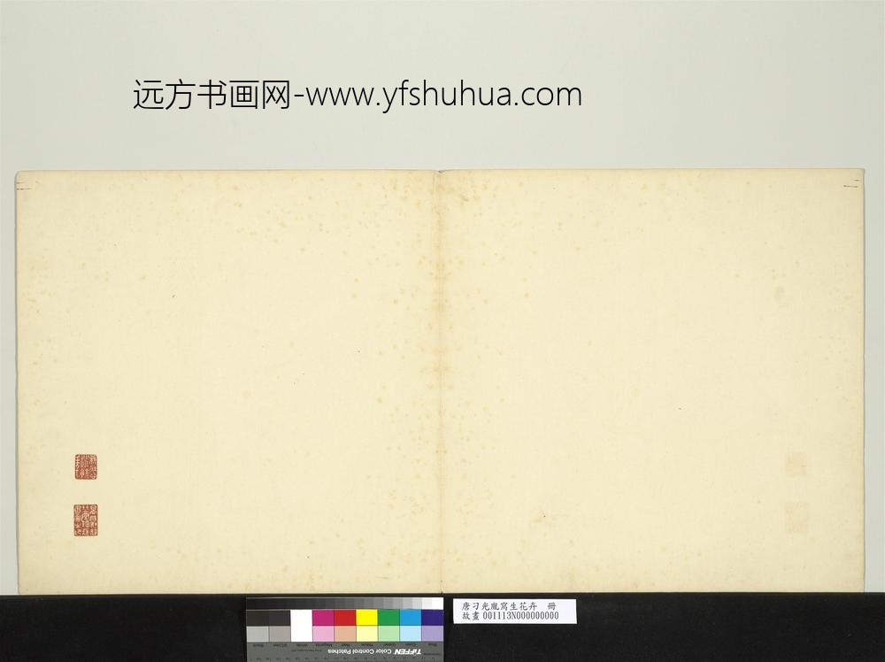 唐刁光胤写生花卉册-