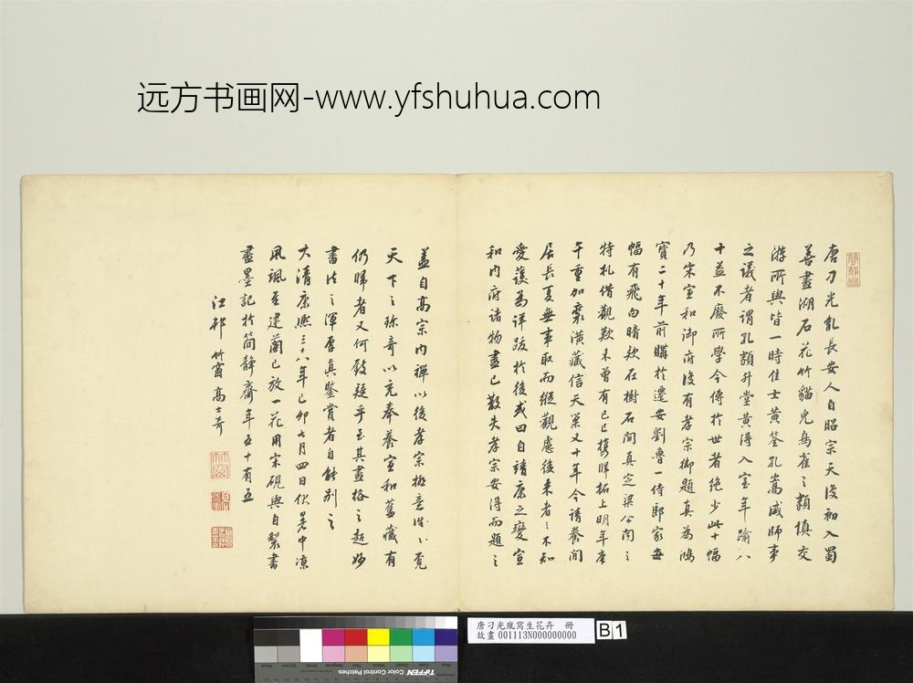 唐刁光胤写生花卉册-