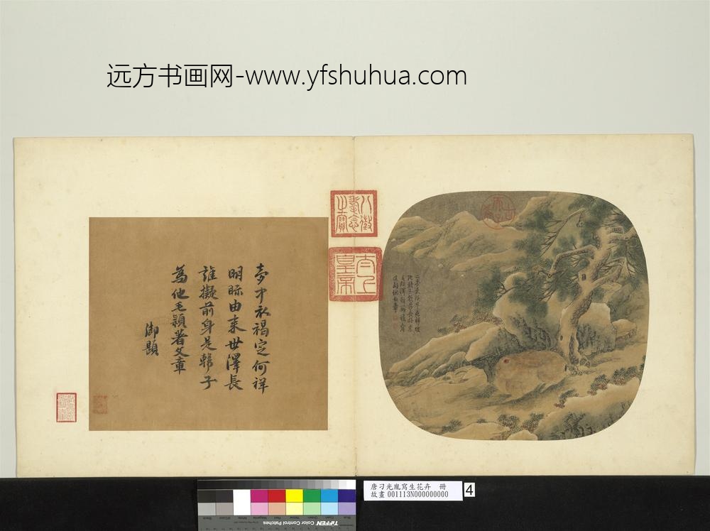 唐刁光胤写生花卉册-乔松卧兔石罅流泉-