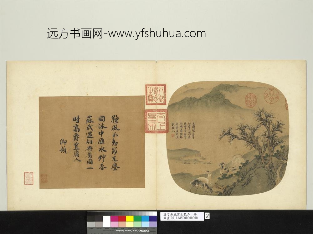 唐刁光胤写生花卉册-枯树五羊盘陀流水-