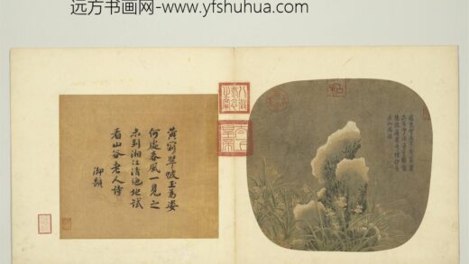 唐刁光胤写生花卉册 水仙倚石上有积雪 3.jpg