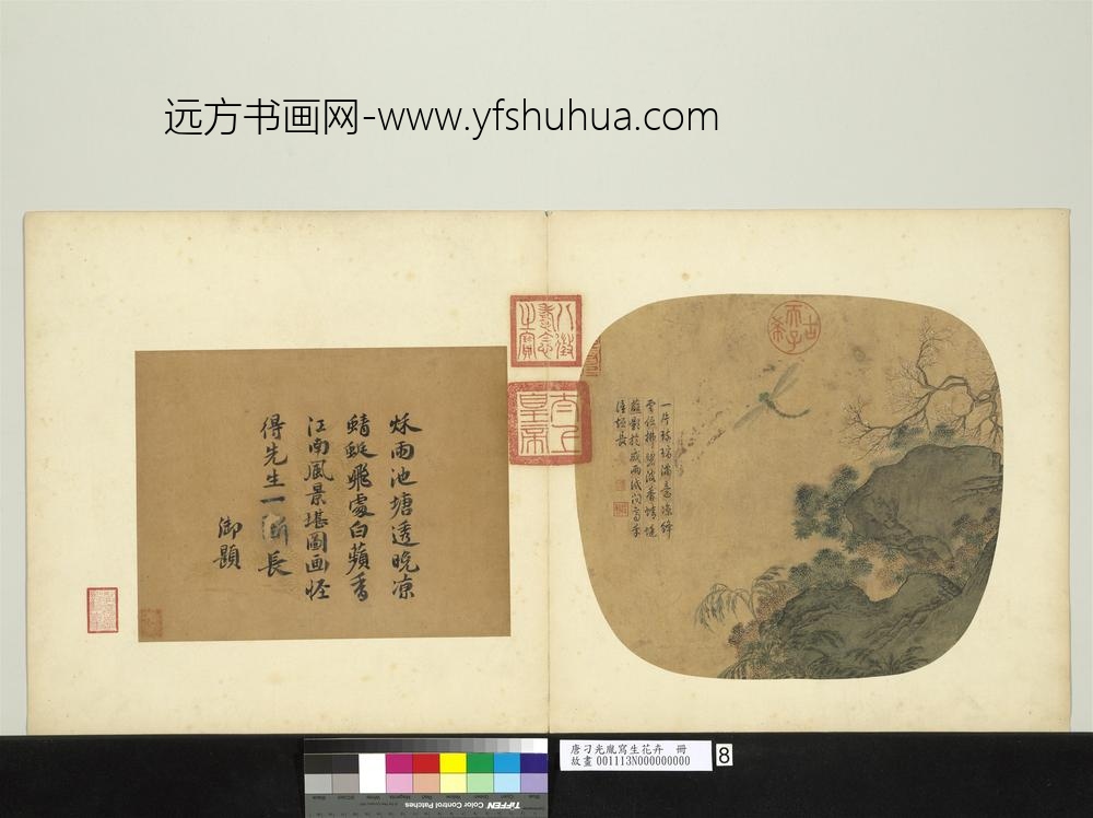 唐刁光胤写生花卉册-秋塘苹蓼照影蜻蜓-