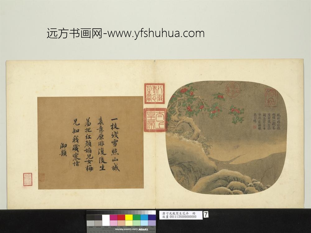 唐刁光胤写生花卉册-绿芜春屿老干红英-