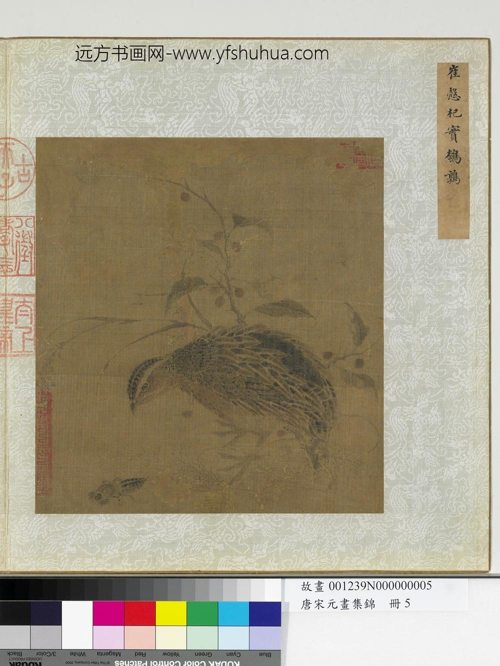 唐宋元画集锦册-宋崔悫杞实鹌鹑-