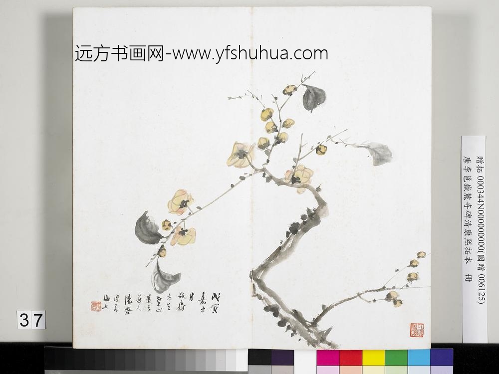 唐李邕岳麓寺碑康熙拓本册-