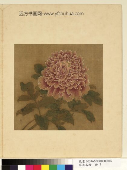 宋元名绘册 彭与义牡丹 1.jpg