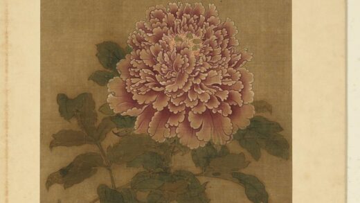 宋元名绘册 彭与义牡丹 1.jpg