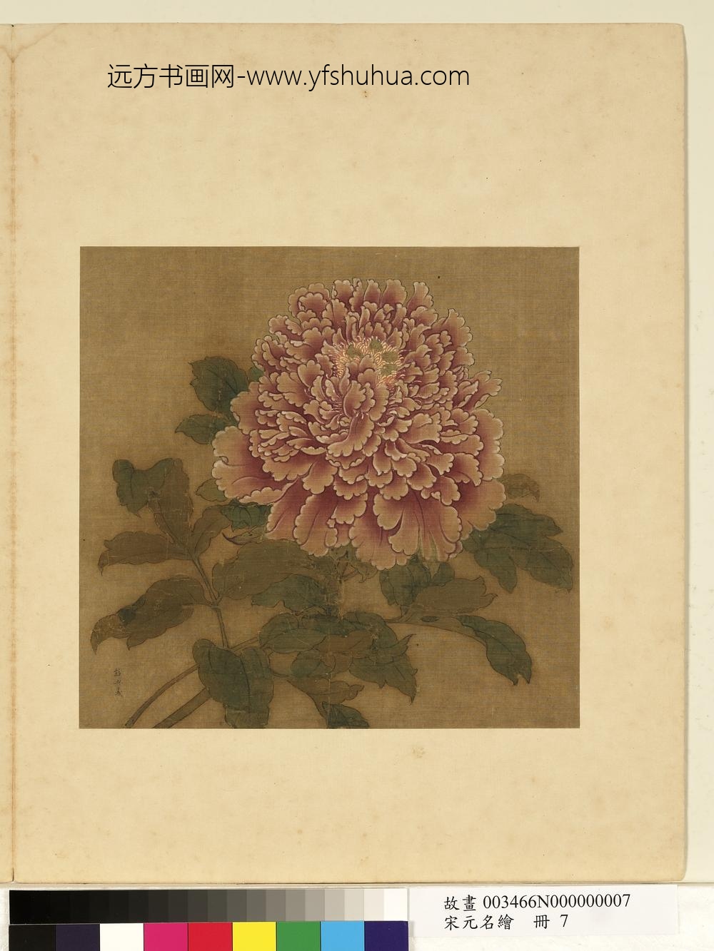 宋元名绘册-彭与义牡丹-