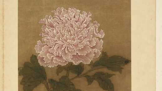 宋元名绘册 彭与义牡丹 2.jpg