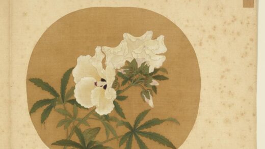 宋元集绘册 宋李东写生秋葵 1.jpg