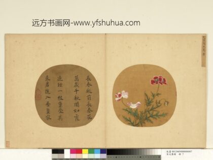 宋元集绘册 宋艾宣写生罂粟 1.jpg