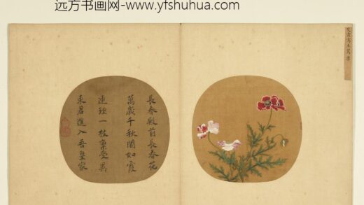 宋元集绘册 宋艾宣写生罂粟 1.jpg