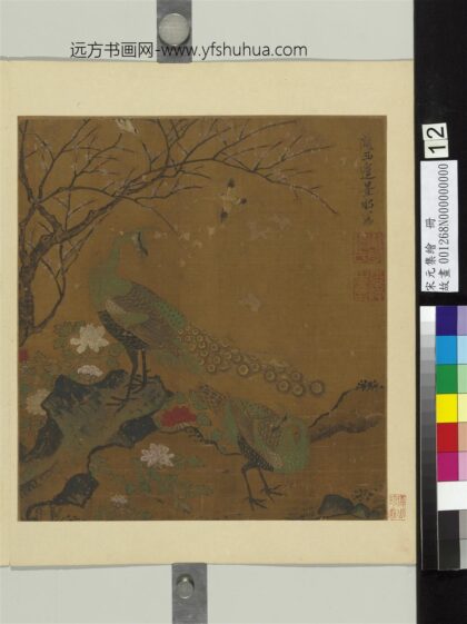 宋元集绘册 明边文进孔雀.jpg