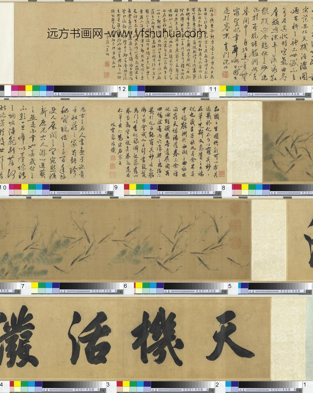 宋范安仁鱼藻图卷-