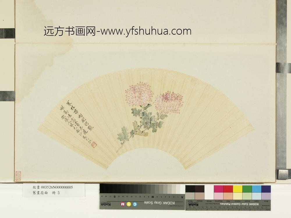 旧画扇面册-清马元驭菊