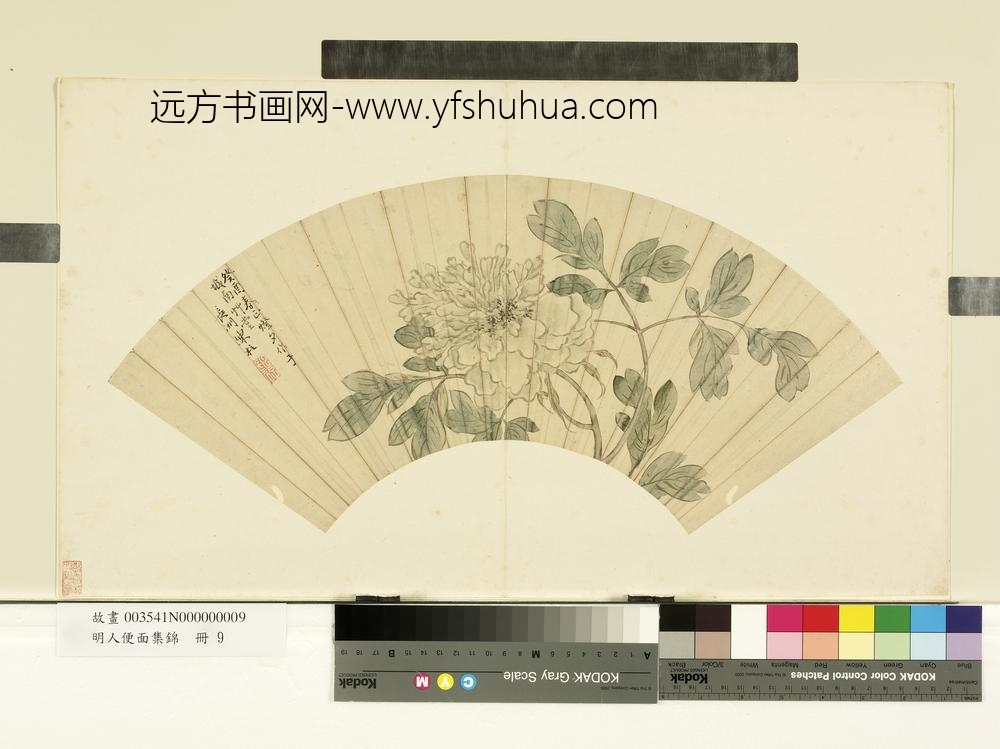 明人便面集锦册-明陈柱牡丹