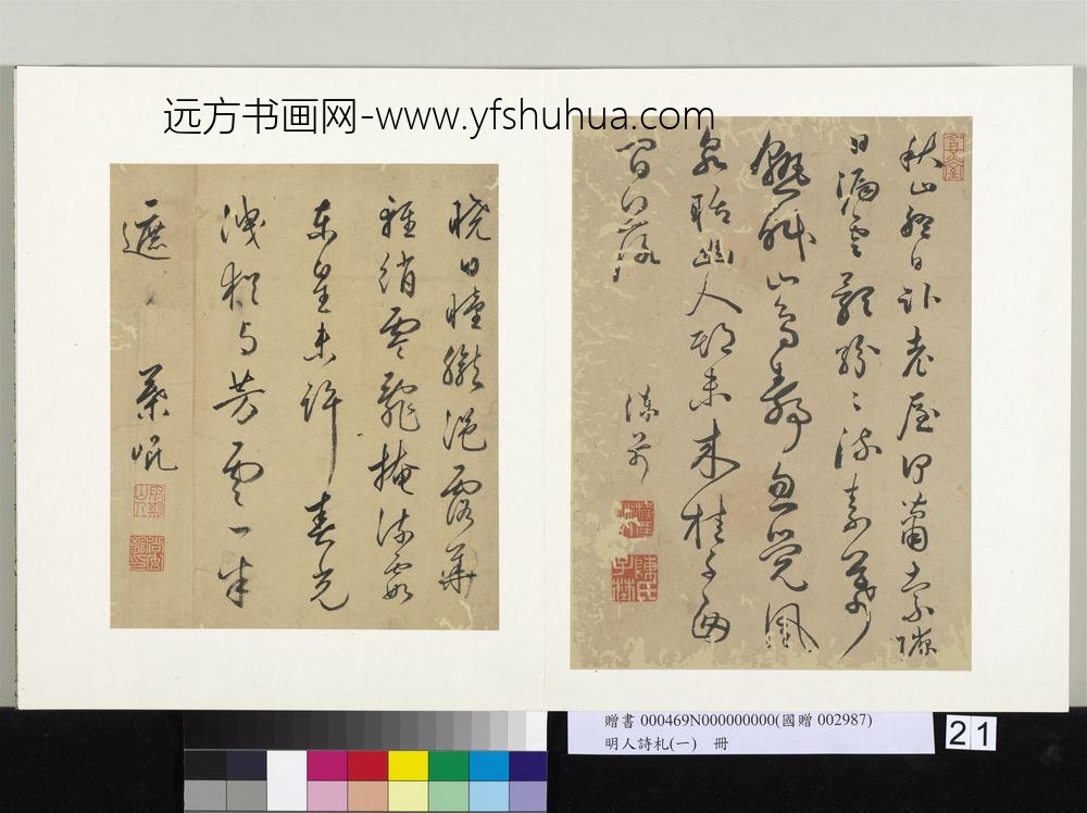 明人诗札册（一）册陈芹草书五言诗