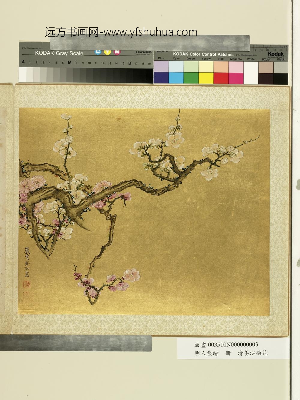 明人集绘册-清姜泓梅花