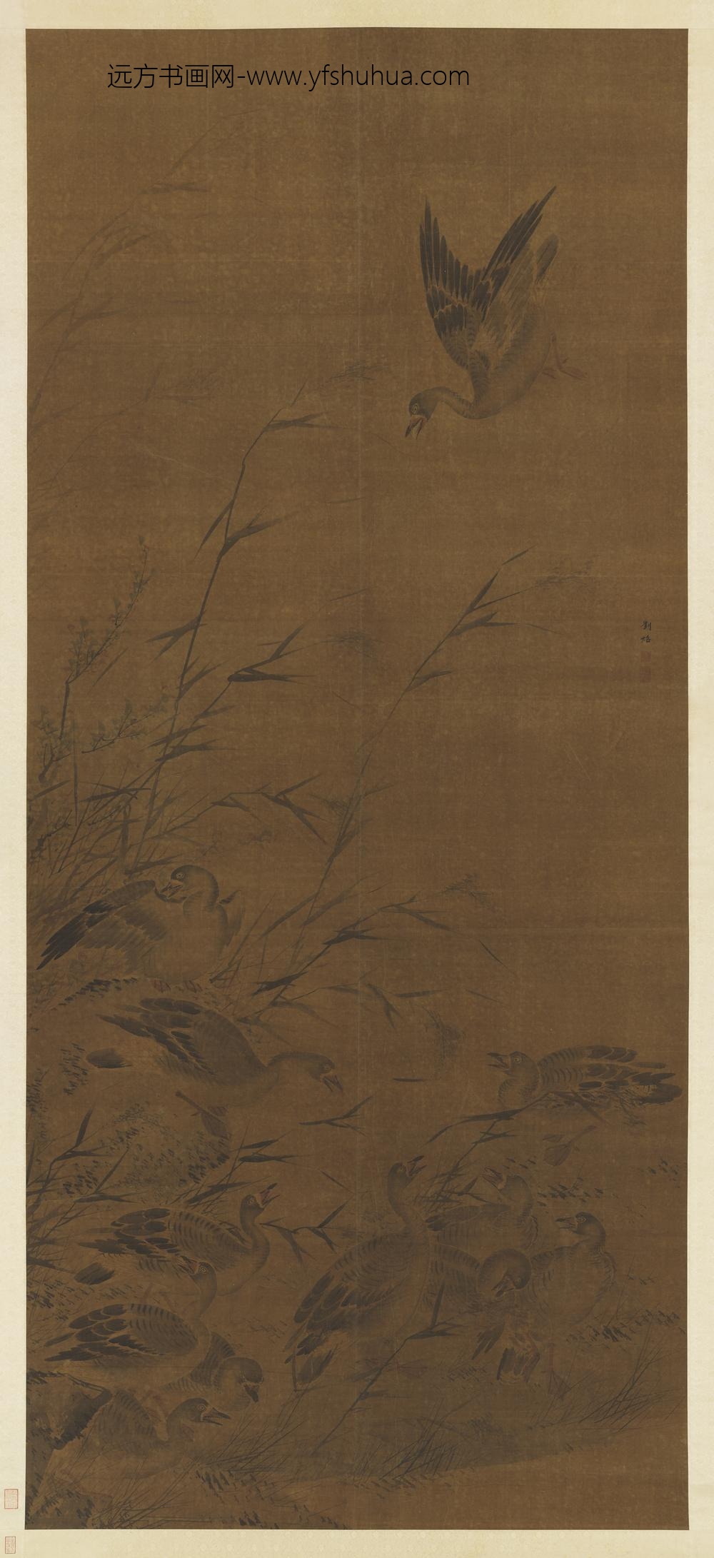 明刘照芦雁图轴