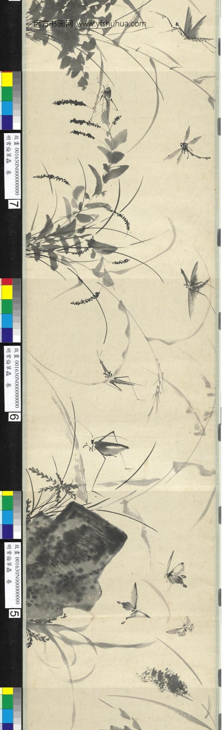 明常伦草虫卷-_