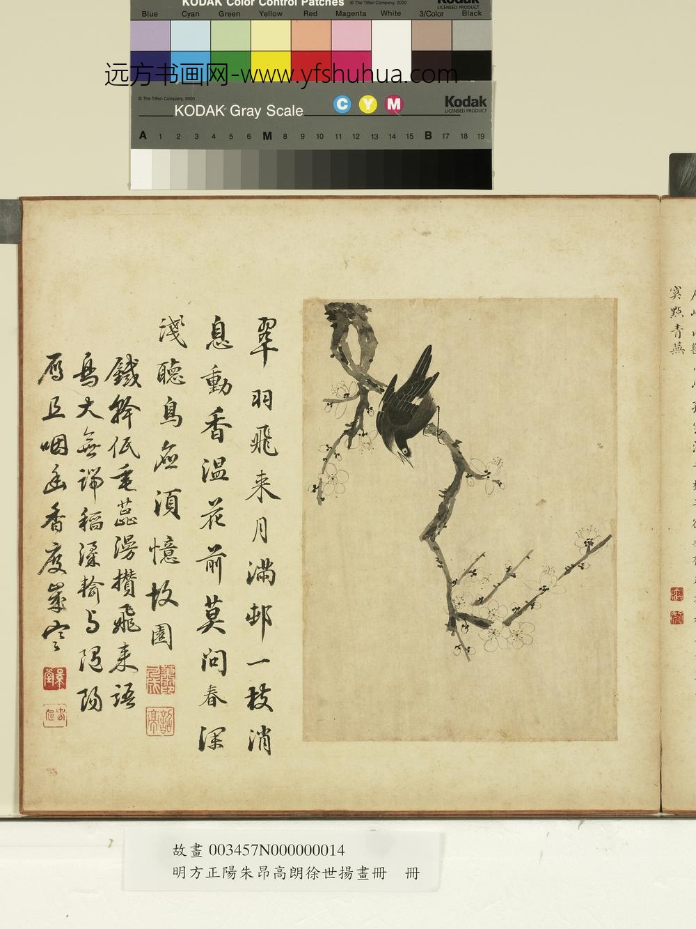 明方正阳朱昂高朗徐世扬画册-梅禽图