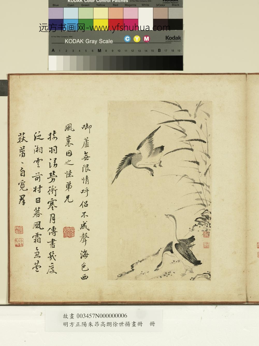 明方正阳朱昂高朗徐世扬画册-衔芦觅群