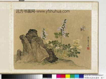 明曹有光孙杕画册 奇石花蝶.jpg