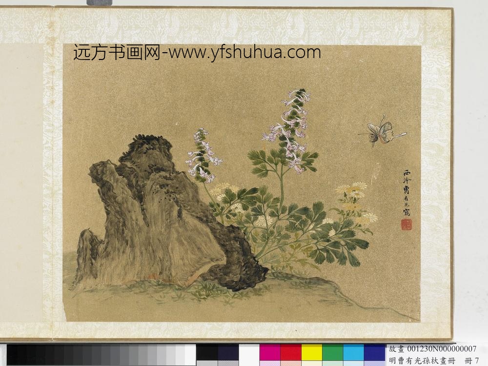 明曹有光孙杕画册-奇石花蝶