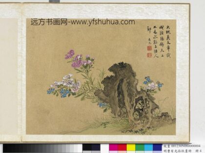 明曹有光孙杕画册 石竹.jpg