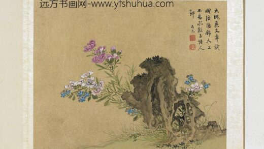 明曹有光孙杕画册 石竹.jpg