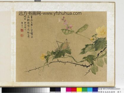 明曹有光孙杕画册 野卉秋虫.jpg