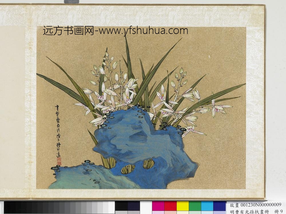 明曹有光孙杕画册册-兰石图