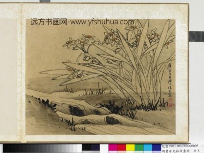 明曹有光孙杕画册册 画水仙.jpg