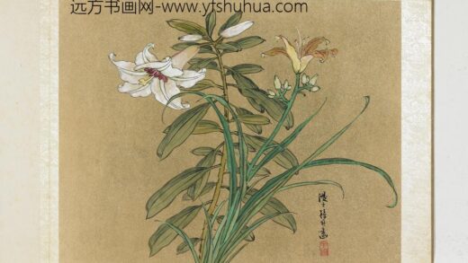 明曹有光孙杕画册册 画百合.jpg