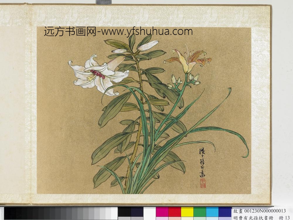 明曹有光孙杕画册册-画百合