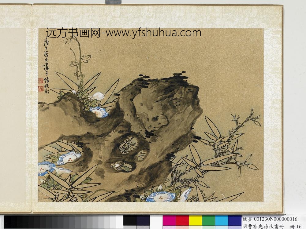 明曹有光孙杕画册册-画竹石牵牛