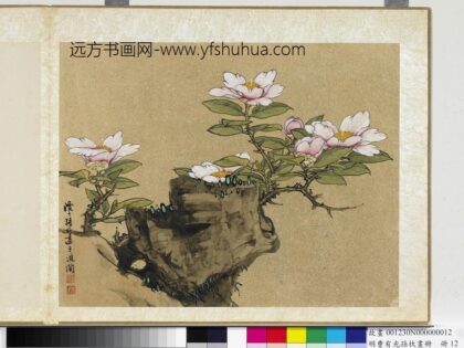 明曹有光孙杕画册册 画茶花.jpg