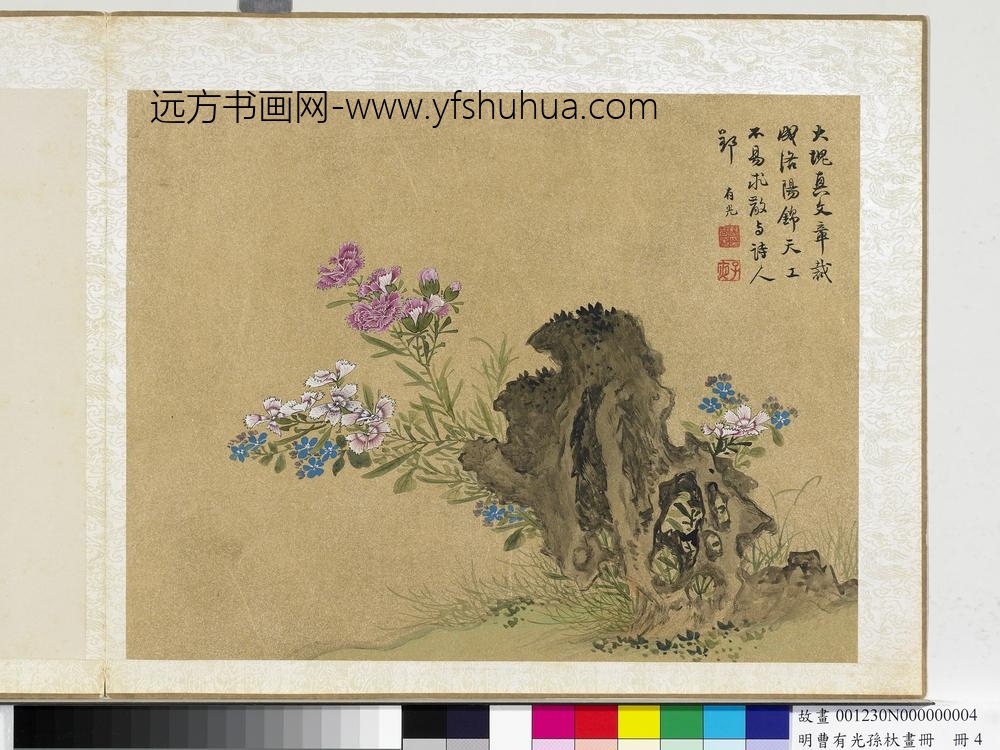 明曹有光孙杕画册册-石竹