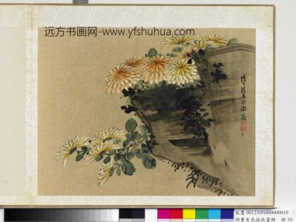 明曹有光孙杕画册册 秋菊图.jpg